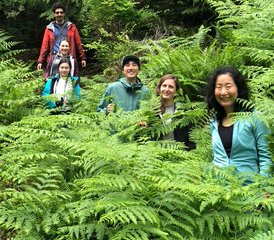 4-Daagse Vrede in de Natuur Yoga De Retreat op de Gulf Islands, Canada - Photo 2