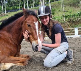 821-Daagse Natural Horsemanship en Klassieke Rijkunst in Tucurrique, Cartago, Costa Rica - Photo 1