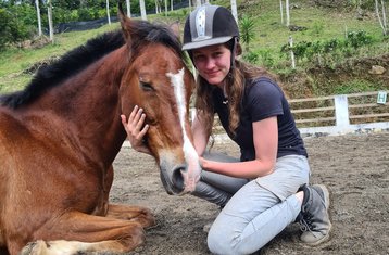 21-Daagse Natural Horsemanship en Klassieke Rijkunst in Tucurrique, Cartago, Costa Rica