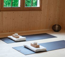 4 días de retiro de yoga y senderismo en los Alpes de Uri, Suiza - Photo 2