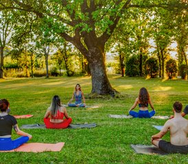 5 Day Executive Yoga and Coaching Retreat in Provence-Alpes-Côte d'Azur, France - Photo 3