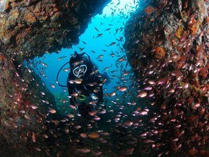 6 Tage Mehr Über das Tauchen Erfahren, PADI Advanced Open Water Kurs in Trincomalee, Ostprovinz