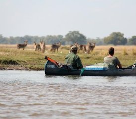86 días de safari en canoa desde Kariba hasta Mana Pools por el río Zambezi - Photo 1
