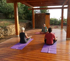 2Online Meditation, Yoga, and Mudra Healing Course for Your Immunity Booster Over 10 Weeks - Photo 1