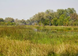 Okavangodelta Retreats und Reisen