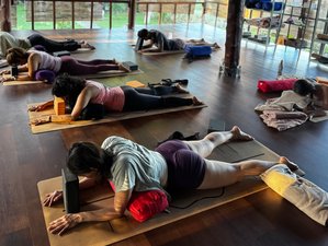 15 Tage 100-stündige einzigartige Yin-Yogalehrerausbildung in Ubud, Bali, Indonesien