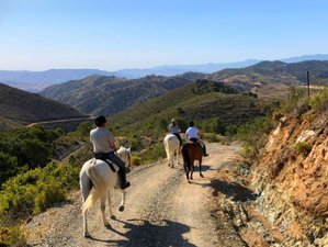 8 Day Bronze Package: Luxury Self-Catering Horse Riding Holiday in Andalusia
