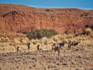 3 Day Namibia Safari at Sossusvlei