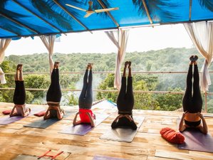 26 Day 200-Hour Yoga Teacher Training Course in Agonda, Goa