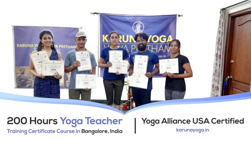 50 Hour Online Vinyasa + Yoga Nidra +  Yoga Therapy Teacher Training for Back Pain