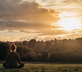 73 Day Summer Solstice Wellness Retreat at Ruxton Farm, Hereford, UK - Photo 1