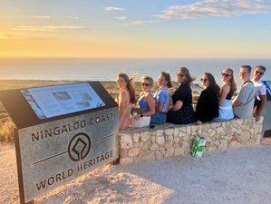 7 Day 6 Nights Perth to Exmouth Explorer and Ningaloo Reef Tour in Australia with Accommodation
