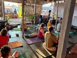 11 Day Yoga Retreat with Sam and Manav in Goa 