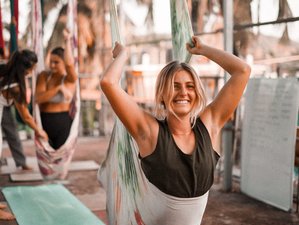 12 Day 100-Hour Aerial Yoga Teacher Training Course in Goa, India