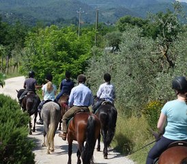 8-Daagse Ontdek Valdarno Ruitervakantie in Toscane, Italië - Photo 3