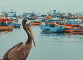 Trujillo Retraites en Reizen