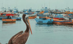 Trujillo Retraites en Reizen
