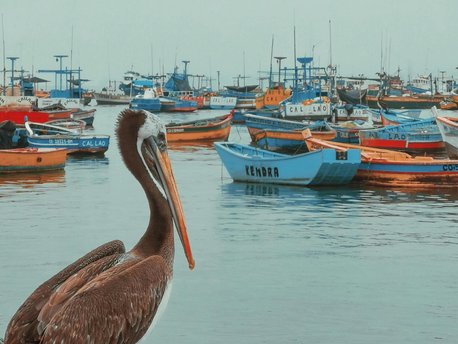 Trujillo