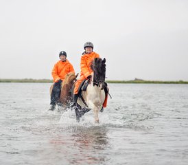 6 Tage Wonders of Lake Mývatn Northern Exposure Reittour in Nordisland, Island - Photo 4