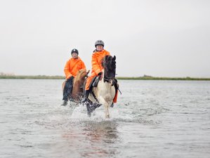 6 Day Wonders of Lake Mývatn Northern Exposure Horse Riding Tour in North Iceland