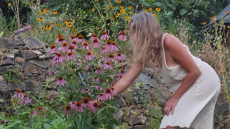 8 Day Herbal Skincare Creation Holiday and Hands-on Workshop in Alájar, Andalusia, Spain