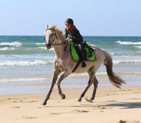 8 Day Flexible Horseback Riding Holiday in Mimizan, Landes - Photo 2