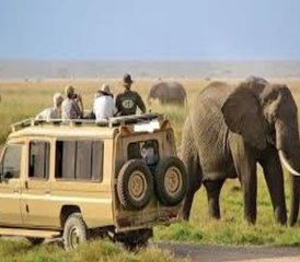 4 días de safari de lujo en el Serengeti y el cráter del Ngorongoro, Tanzania - Photo 4