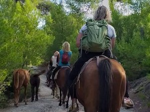 8 jours en stage d’équitation à Magazia, île de Skyros, Grèce