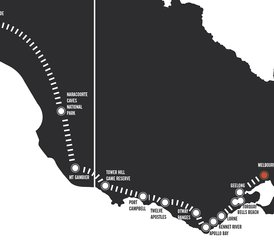 3 Tage Adelaide nach Melbourne Wildtier-Tour entlang der Great Ocean Road in Australien - Photo 3