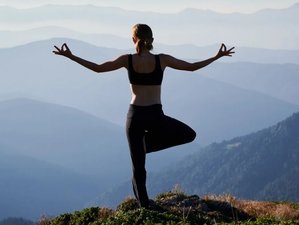 7 Day Transformative Retreat with Daily Yoga and Meditation at a Heritage Palace in Rajasthan, India