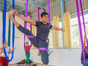 8 Tage 50-Stunden Aerial Yoga Lehrer Ausbildung in Rishikesh, Indien