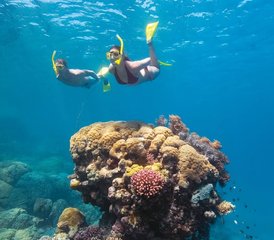 6 Day Whitsunday Adventure and Yoga Retreat in Queensland, Australia - Photo 3