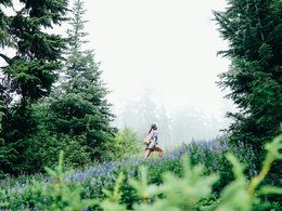 Whistler Retreats und Reisen