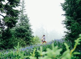 Whistler Retreats & Trips