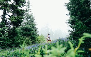 Whistler Retreats und Reisen