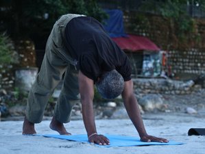 12-Daagse 100-Urige Yoga Docentenopleiding in Rishikesh India voor Beginners en Halfgevorderden