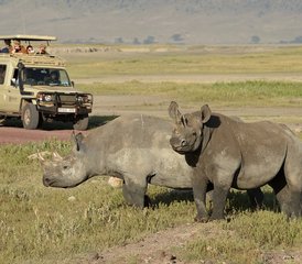 73 Day Serengeti Joining Group Safari in Tanzania - Photo 1