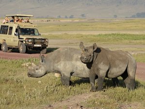 3 Day Serengeti Joining Group Safari in Tanzania