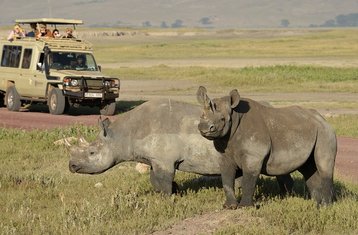3-Daagse Serengeti Groepssafari in Tanzania