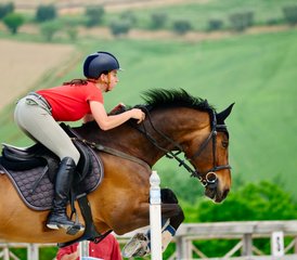 4 Day Long Weekend With Jumping and Flatwork Training Horse Riding Holiday in Fermo, Italy - Photo 3
