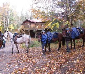 3 Day Algonquin by Horseback: Trail Riding through Algonquin Park in Ontario, Canada - Photo 2