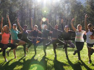 8 Day Yoga, Hiking, and Spa Retreat in Bessho Onsen and Kiso Valley, Japan