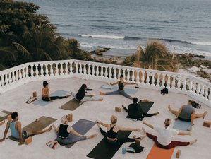 Yoga Classes  elementalyoga
