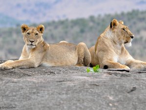 3-Daagse Betaalbare Camping Groepssafari in Masai Mara National Reserve, Kenia 
