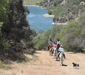 9 Day Transhumance Horse Riding Tour in Spain - Photo 4