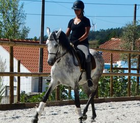 5 Day Cultural Program and Dressage Holidays in Alenquer, Lisbon, Portugal - Photo 4
