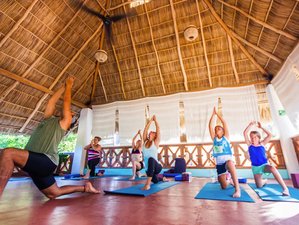 6 Day Transformative and Healing: Yoga and Meditation Retreat in Sayulita, Mexico