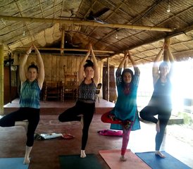 10 Day Zen, Ayurveda Detox, and Yoga Retreat in Alleppey, Kerala Beach, India - Photo 5