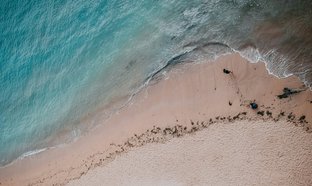 Sanur Retreats & Trips
