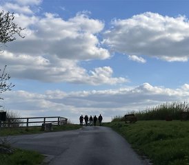 24 Day Woodlines Residential Doctors’ Wellbeing Retreat in Berkshire, UK - Photo 1